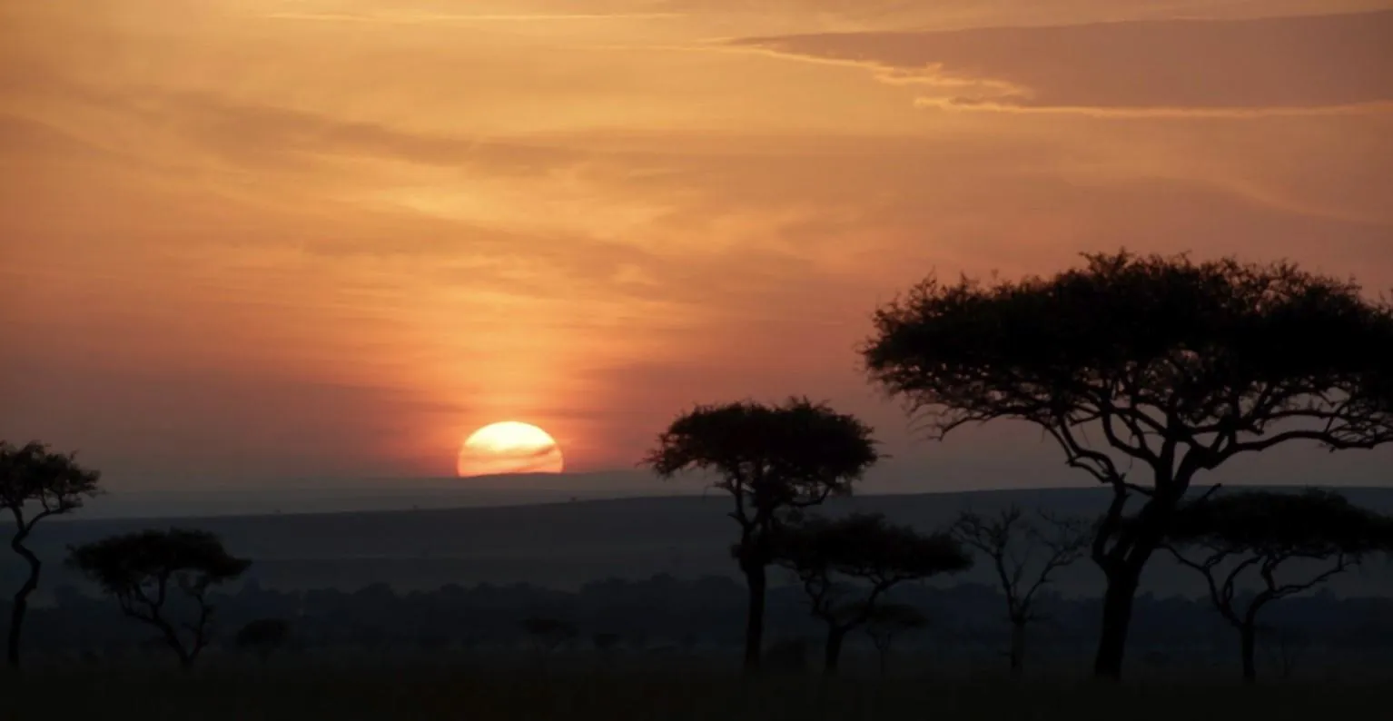 Справжній кадр у стрічці Справжній кадр у стрічці
