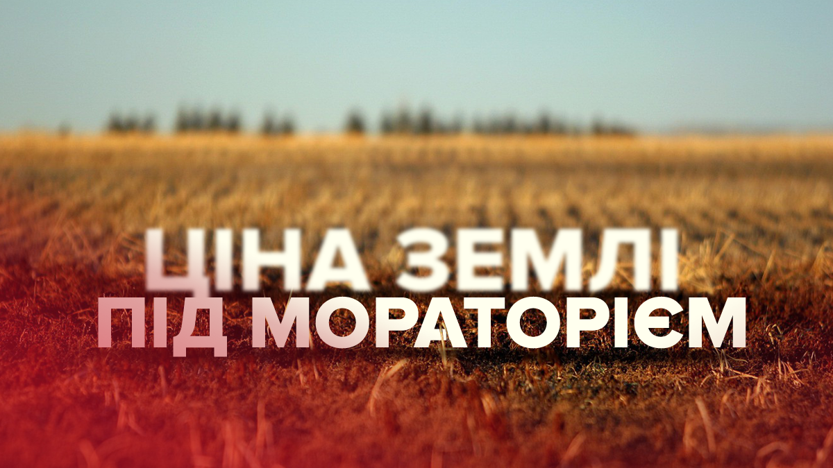 По скільки в Україні продають землю під мораторієм: інфографіка по областях