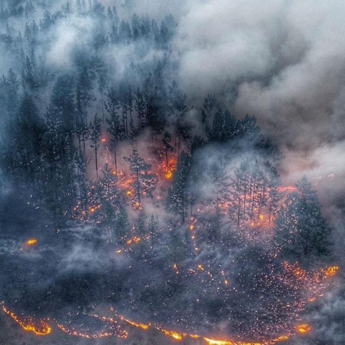 Пожары в Сибири, продолжают гореть леса – реакция соцсетей – 2019 Пожары в Сибири, продолжают гореть леса – реакция соцсетей – 2019