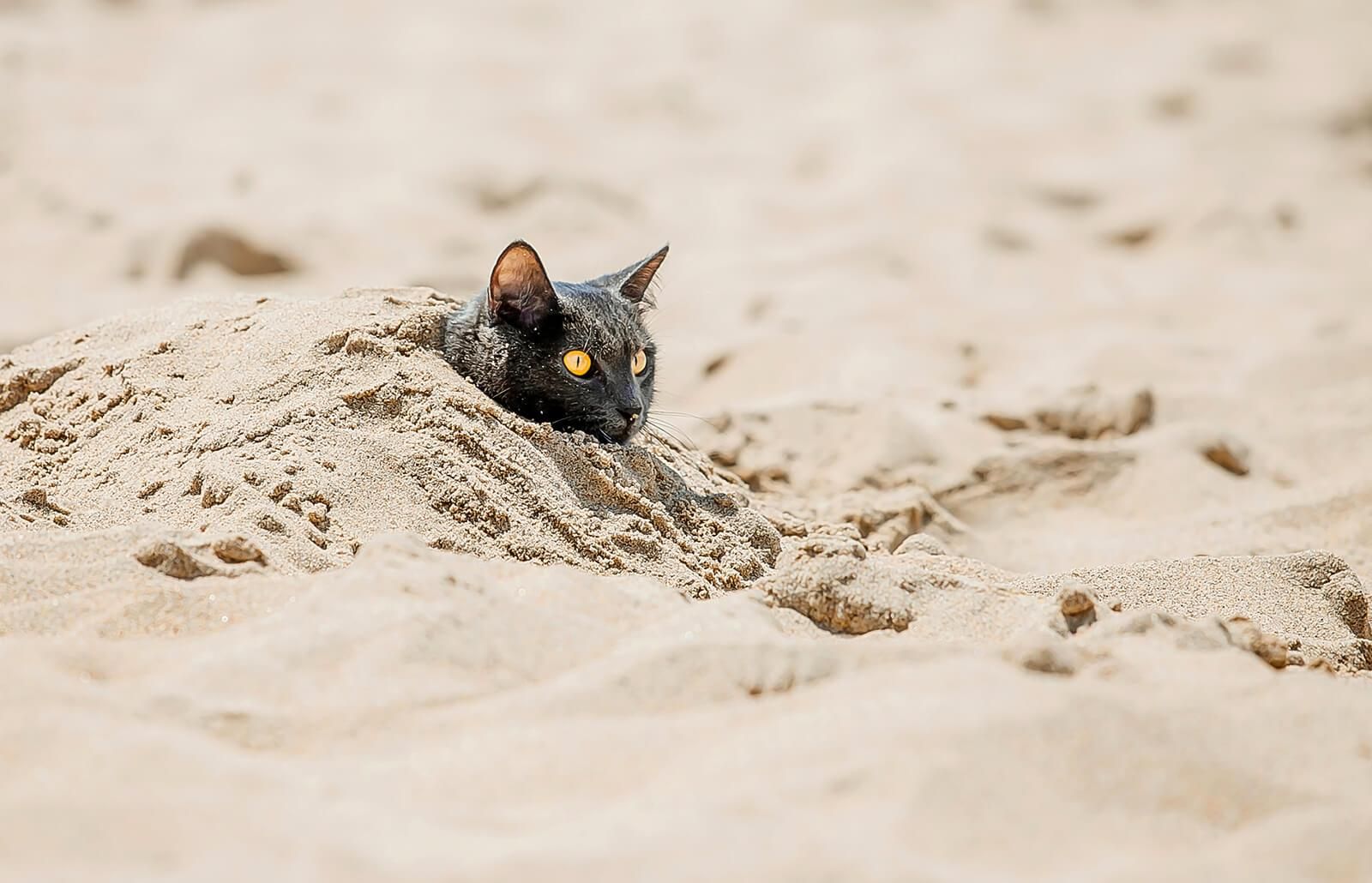 Погода 1 серпня 2019 Україна – синоптик обіцяє похолодання Погода 1 серпня 2019 Україна – синоптик обіцяє похолодання