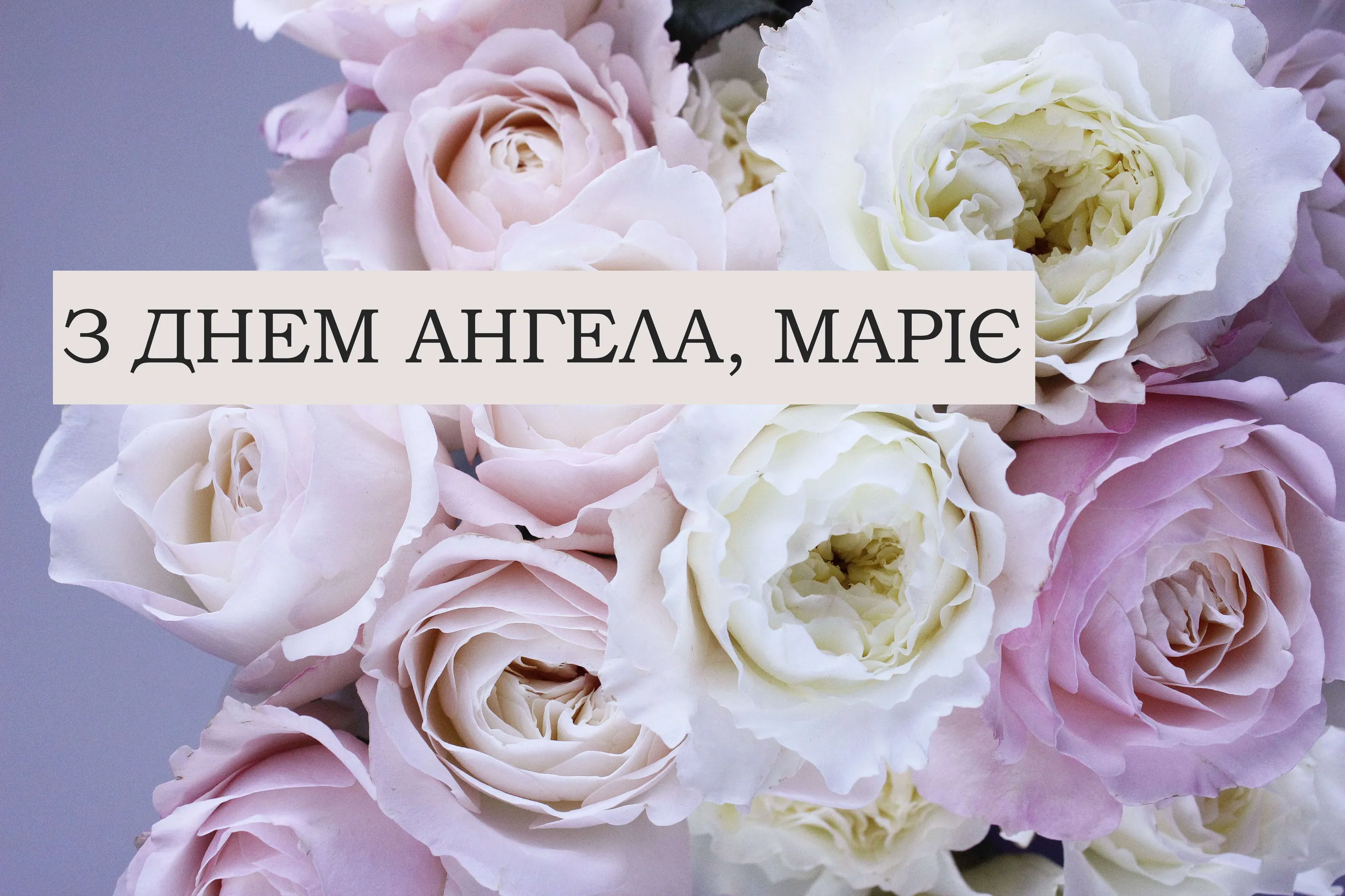 Картинки з Марією Картинки з Марією