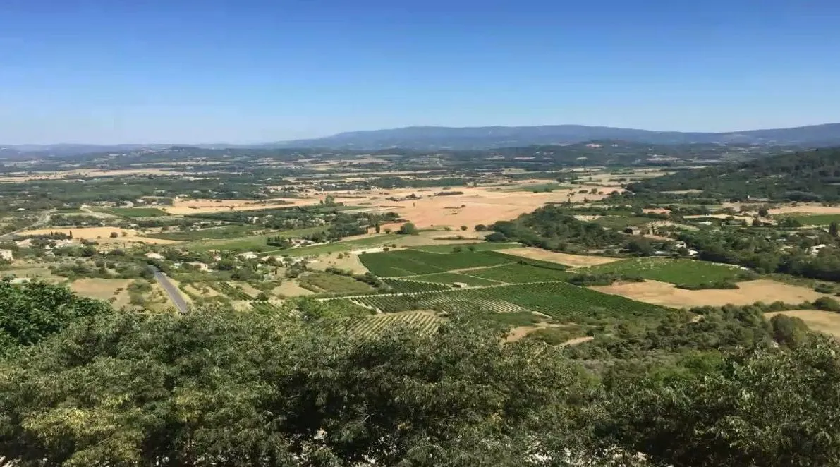 луценко луценко