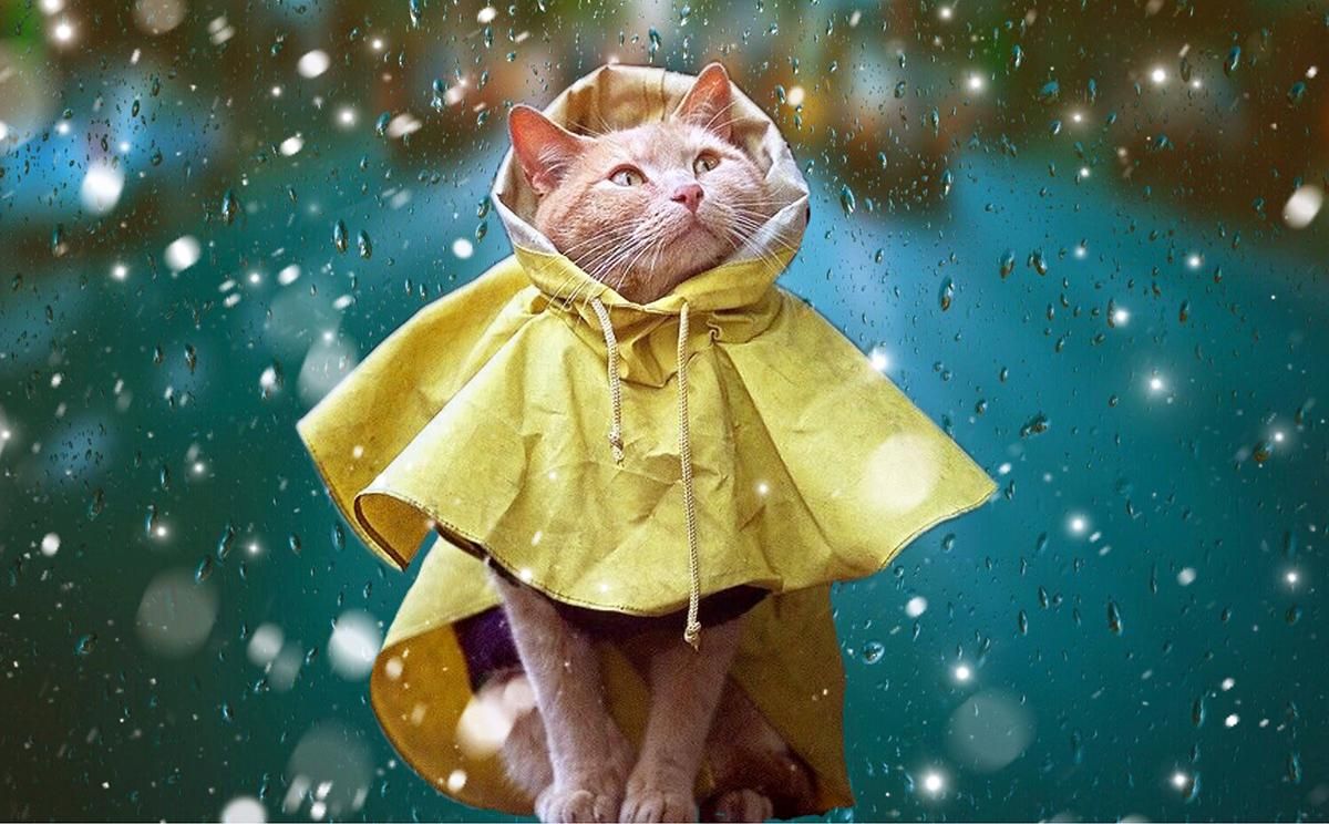 Погода на 2 августа 2019 Украина – прогноз погоды синоптика Погода на 2 августа 2019 Украина – прогноз погоды синоптика