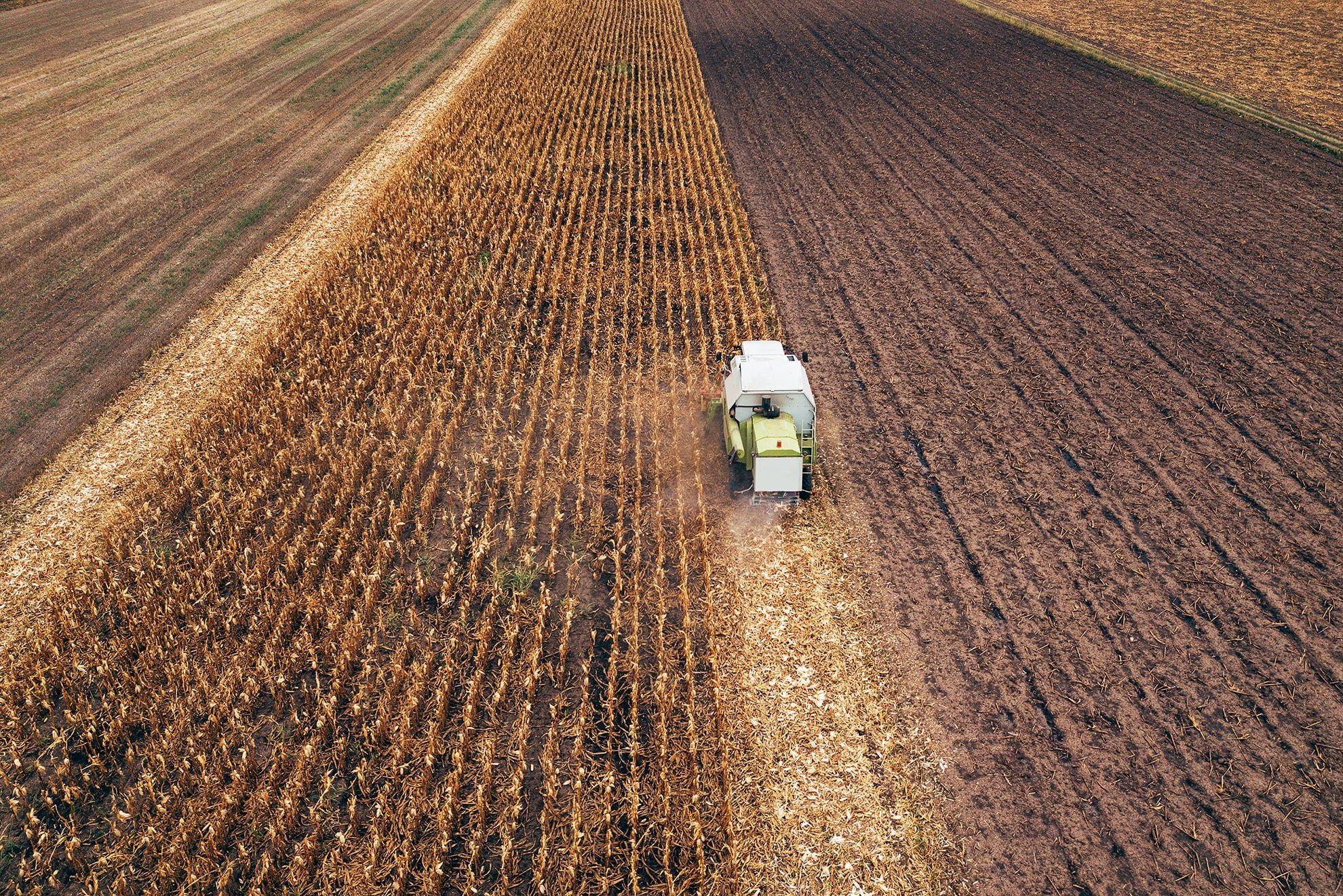 Бракує локомотивів: експерти б’ють на сполох через зрив збору врожаю, – ЗМІ Бракує локомотивів: експерти б’ють на сполох через зрив збору врожаю, – ЗМІ