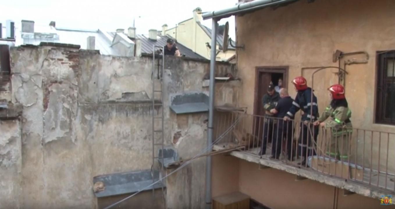 Во Львове спасатели снимали кота со стены: трогательное видео