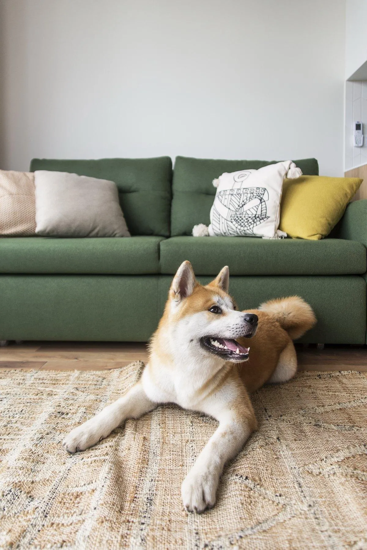 квартира дизайн інтерєр диван квартира дизайн інтерєр диван