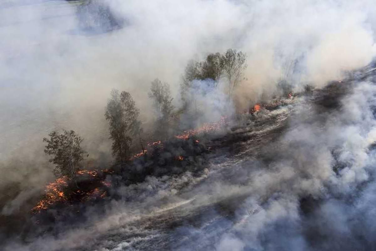 Пожежа в Сибіру: охоплена вогнем площа тільки зростає, згоріла вже "ціла Бельгія" Пожежа в Сибіру: охоплена вогнем площа тільки зростає, згоріла вже "ціла Бельгія"