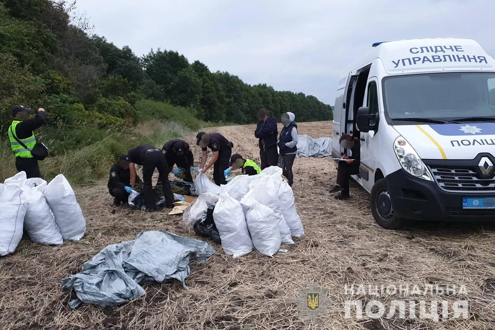 наркотики марихуана 150 кілограмів