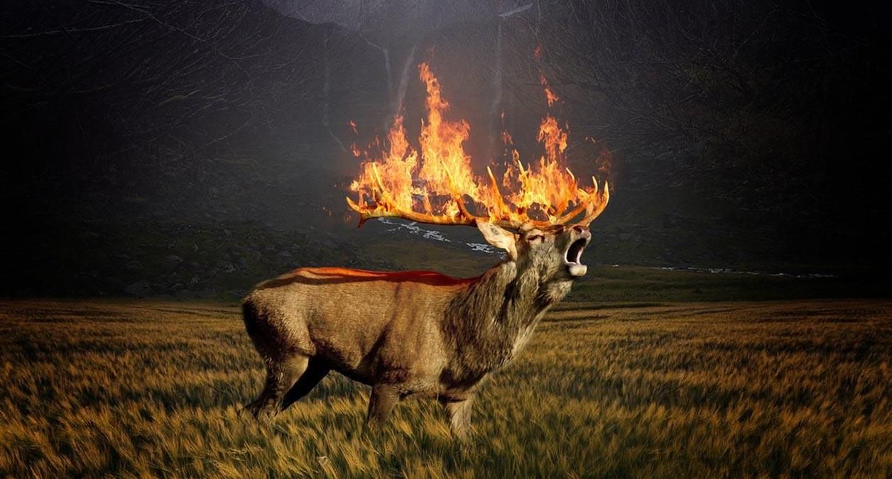 Масштабні пожежі в Сибіру: скільки років треба на відновлення лісів Масштабні пожежі в Сибіру: скільки років треба на відновлення лісів