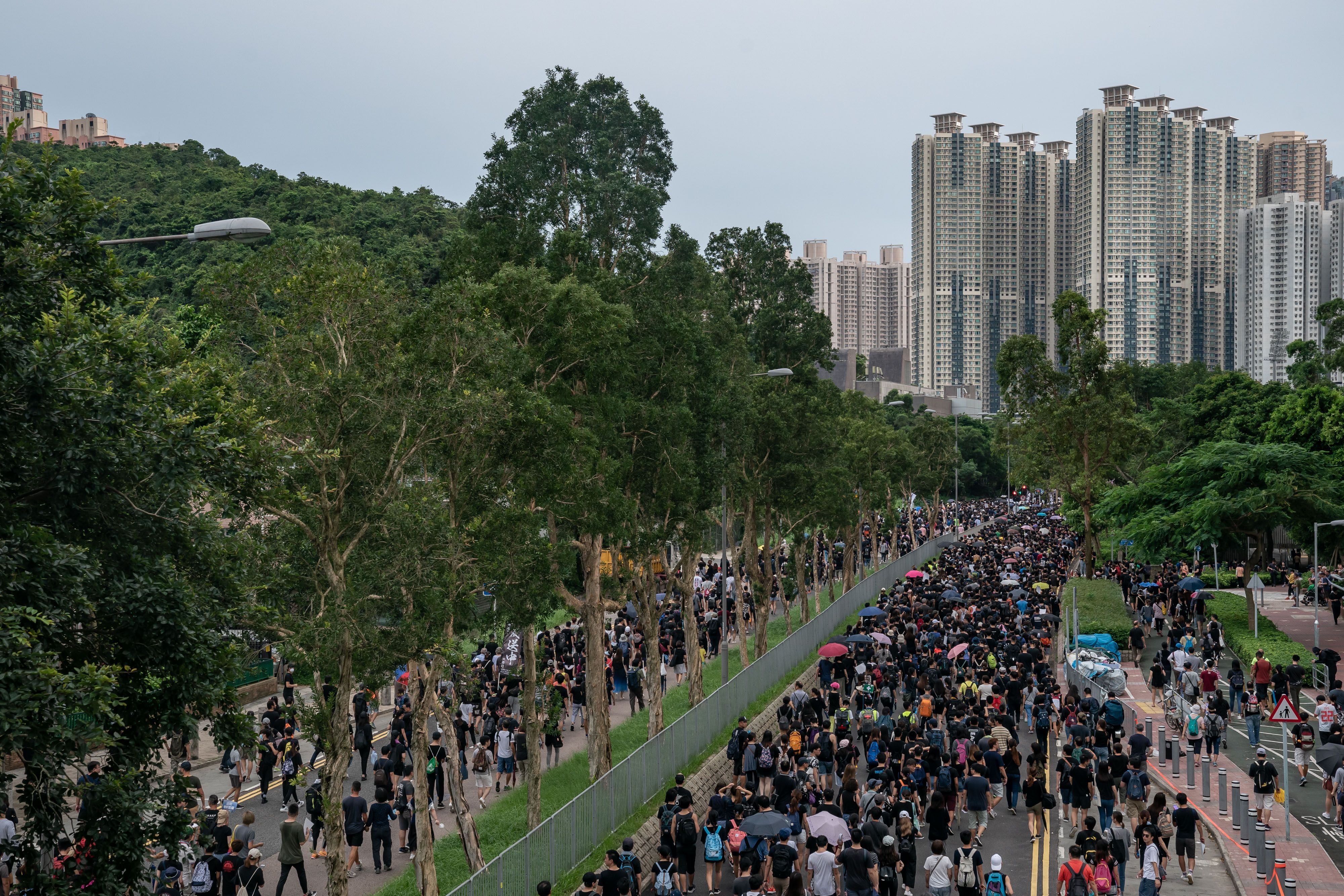 Протесты в Гонконге: сотни отмененных рейсов и транспортный коллапс – фото и видео