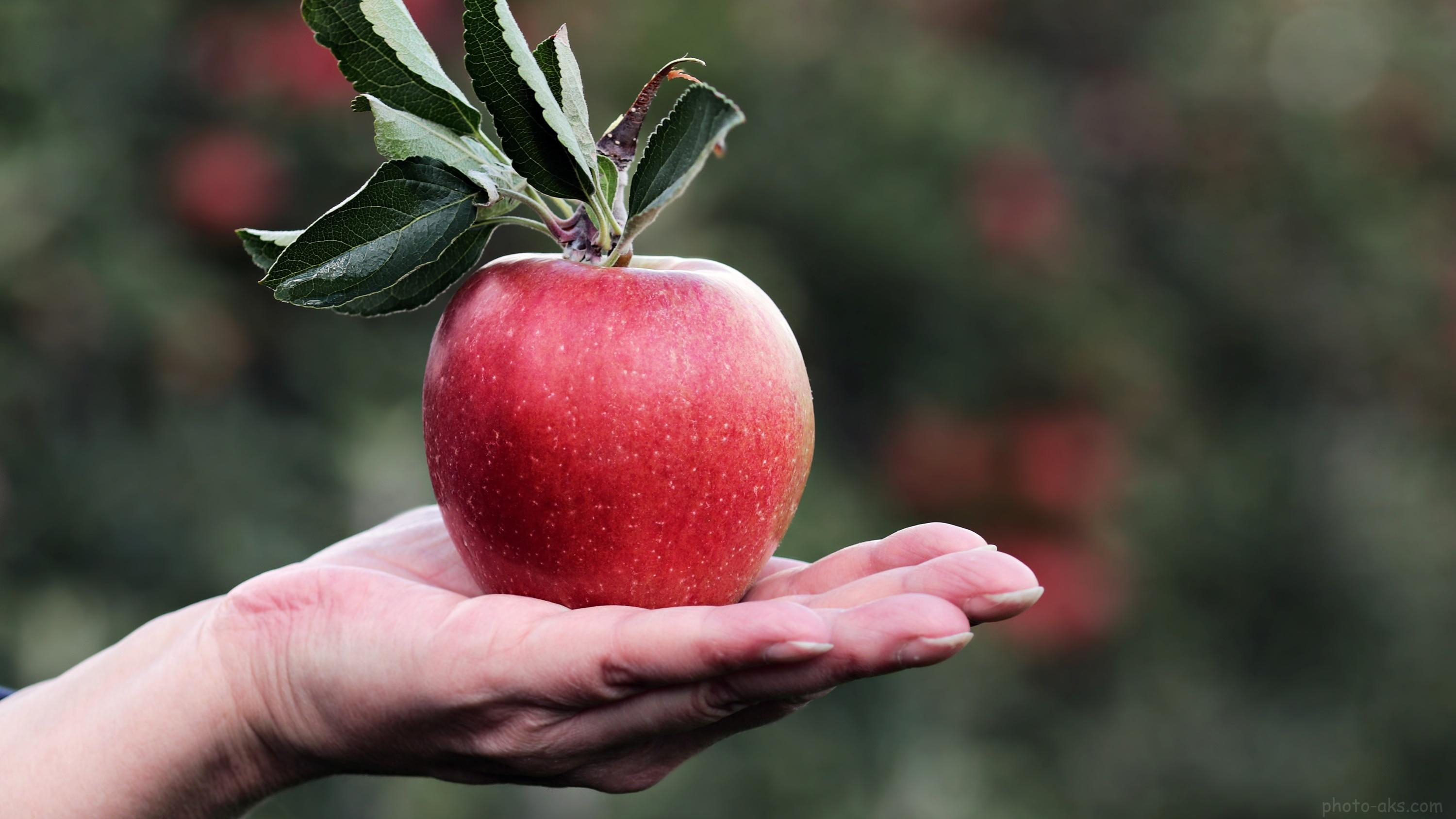 Женщина попала в реанимацию после употребления немытого яблока