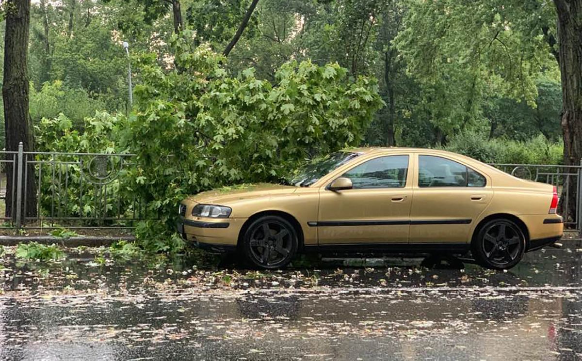 Ураган в Киеве 8 августа 2019 – фото и видео погоды в Киеве
