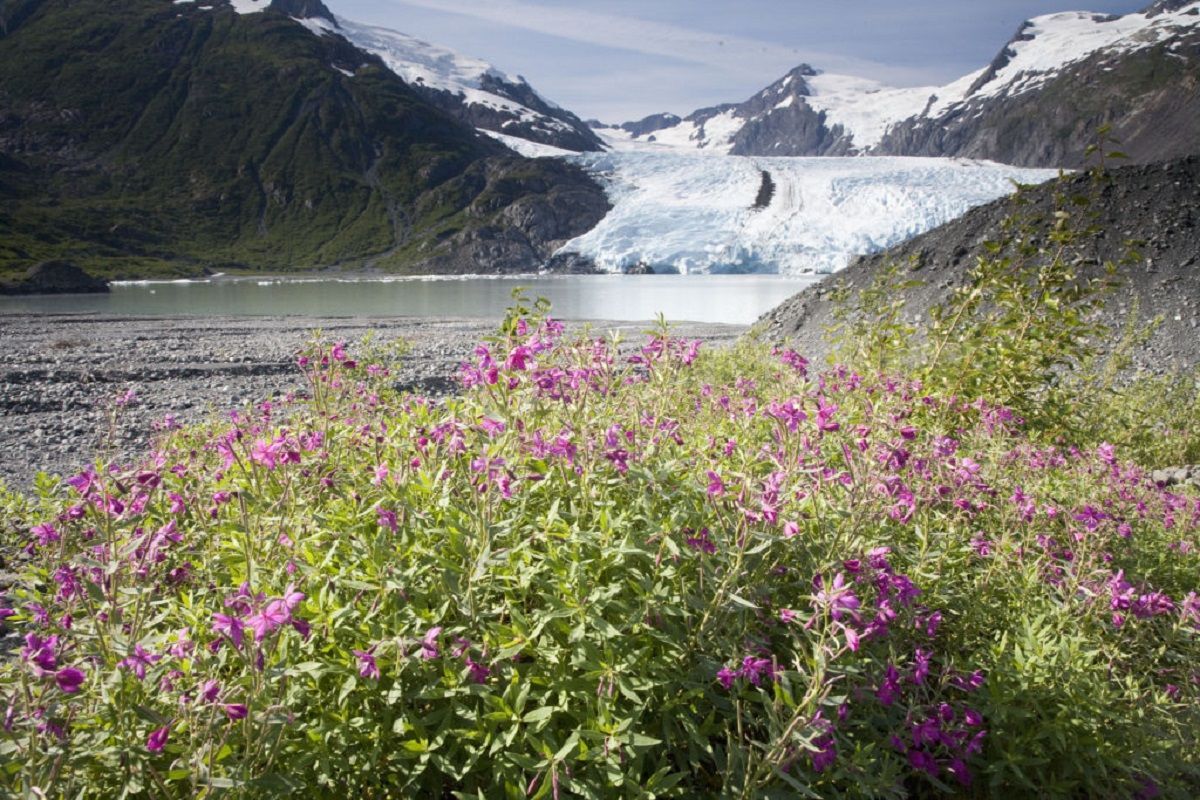 На Аляске растаял лед: экологи бьют тревогу