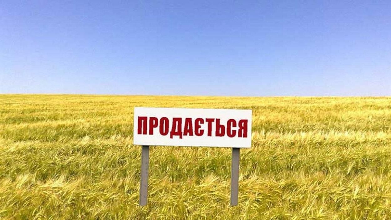 Продажа земли: каких изменений ждать украинцам