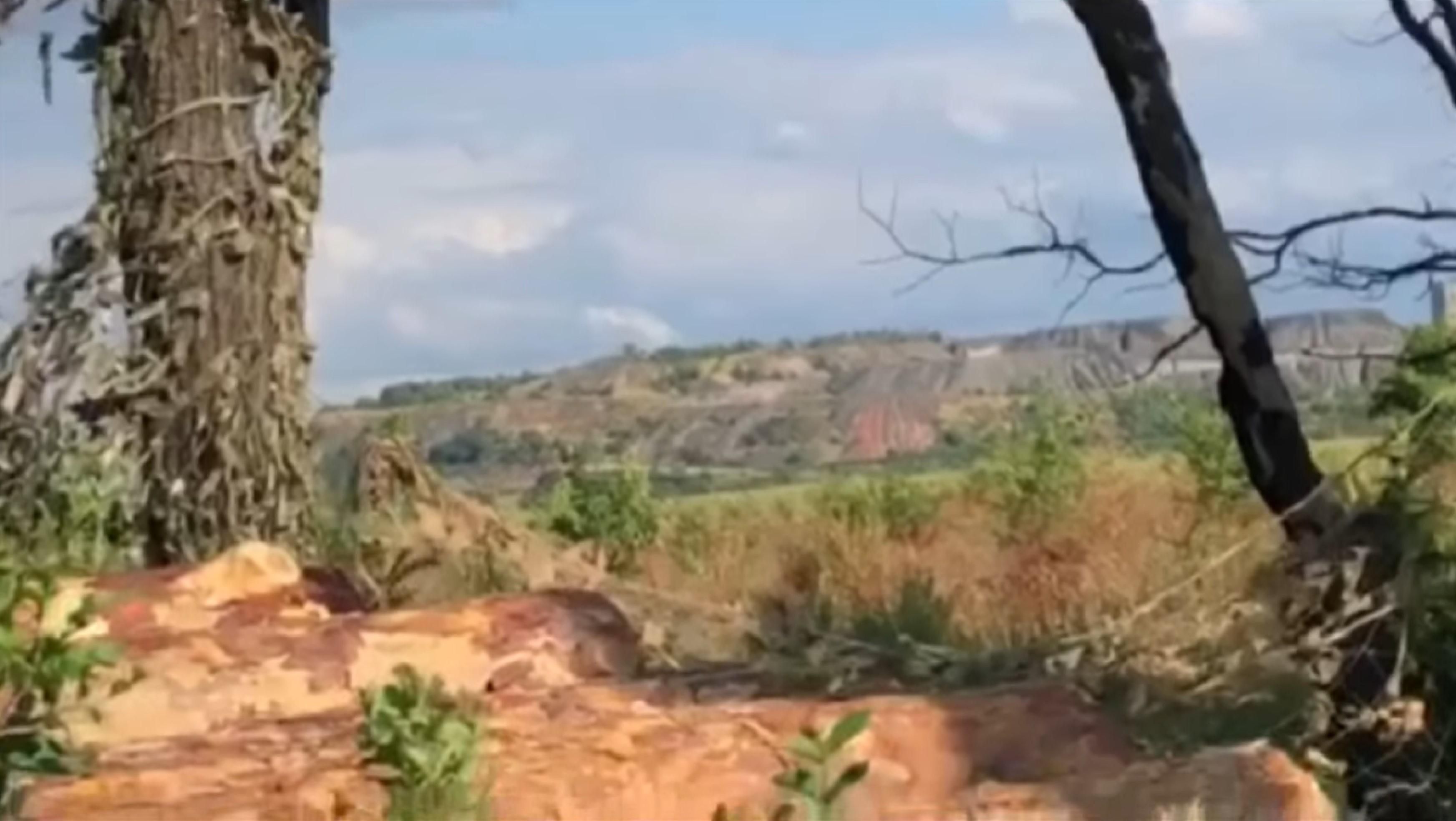 Украинские бойцы одним ударом уничтожили позицию боевиков: яркое видео Украинские бойцы одним ударом уничтожили позицию боевиков: яркое видео