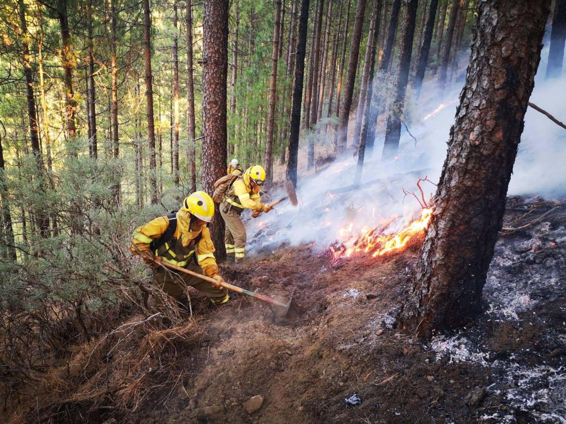 Масштабный пожар охватил Канары: горят тысячи гектаров леса, идет эвакуация