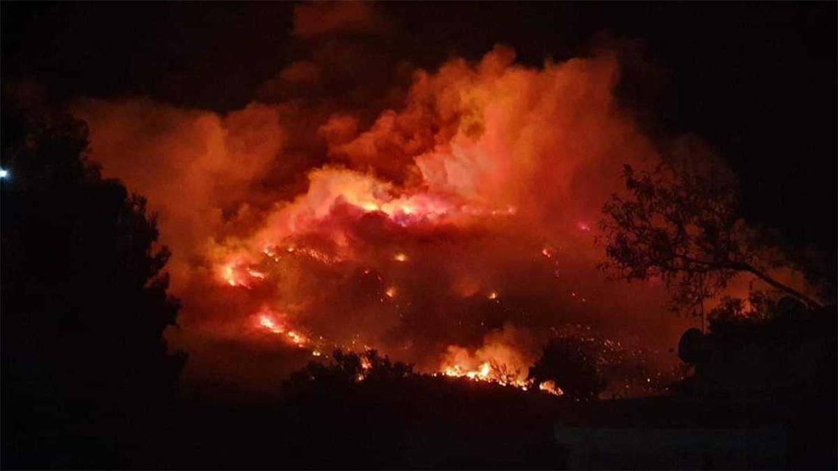 Пожар в Греции 12 августа 2019 – фото лесного пожара