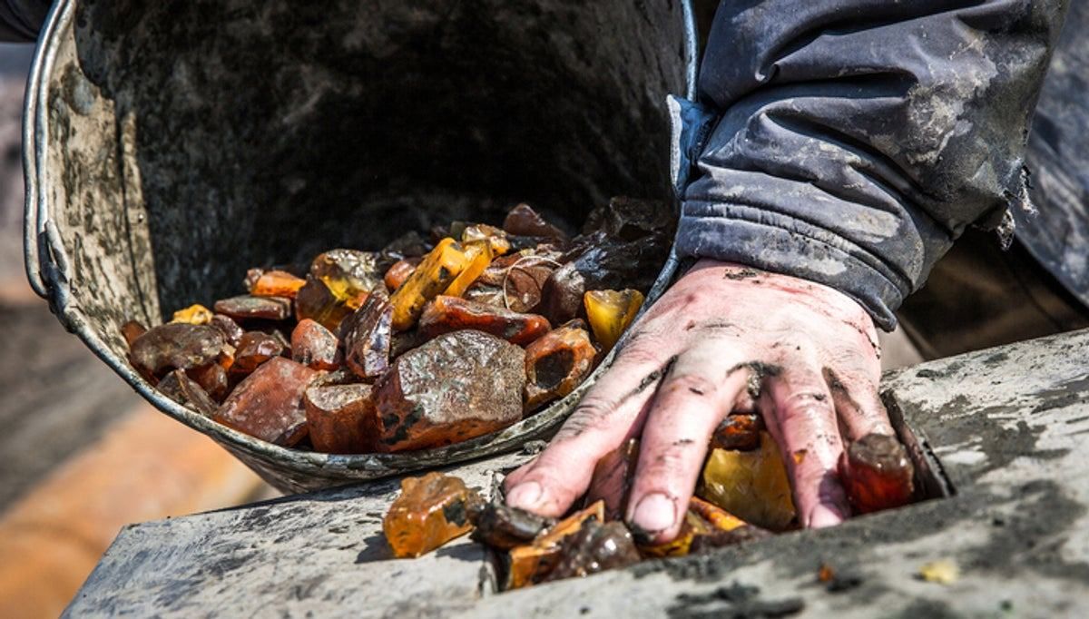 Что нужно сделать, чтобы остановить незаконную добычу янтаря: объяснение Казанского