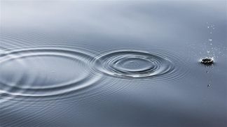 Ребенок утонул во время купания на Буковине