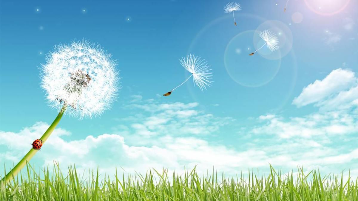 Погода 14 серпня 2019 Україна – яку погоду обіцяє синоптик Погода 14 серпня 2019 Україна – яку погоду обіцяє синоптик