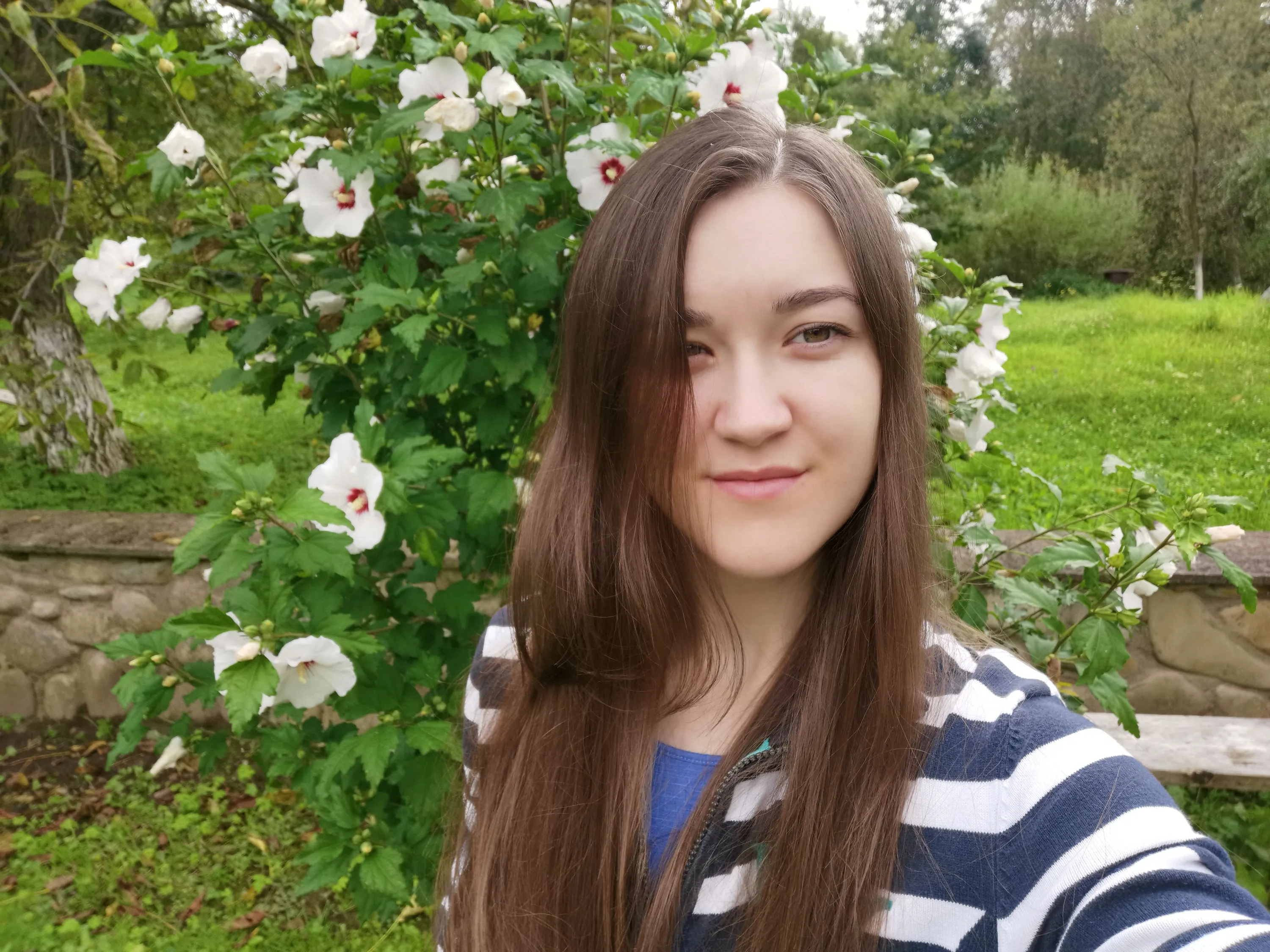 Honor 20 Honor 20