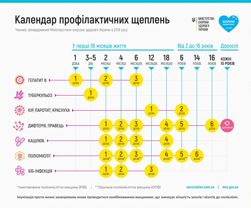 Календар профілактичних щеплень для дітей та дорослих