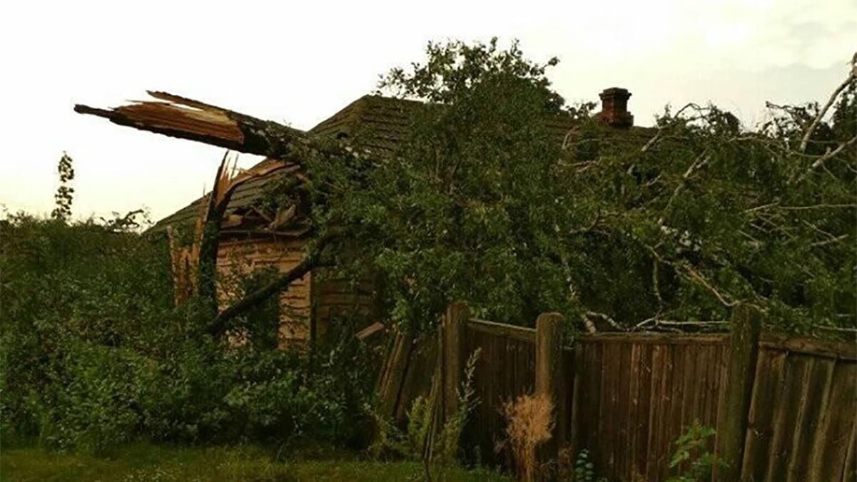 Зірваний купол і повалені дерева: негода вдарила по Україні – фото, відео