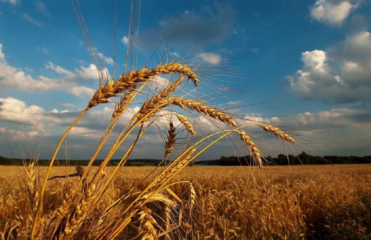 Погода 15 серпня 2019 Україна – прогноз погоди від синоптика Погода 15 серпня 2019 Україна – прогноз погоди від синоптика