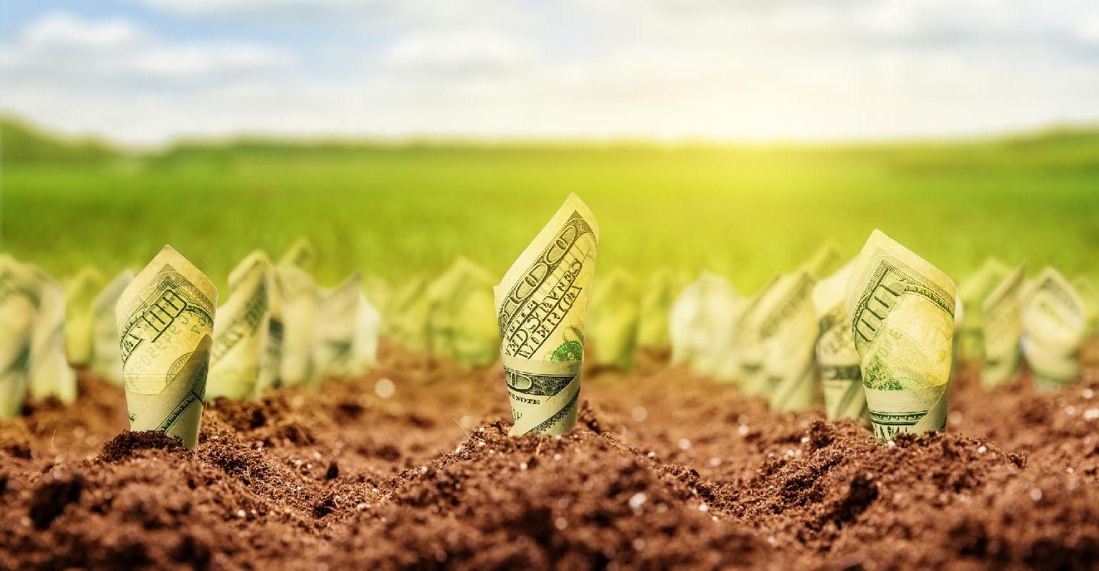 Рынок земли в Украине: смогут ли украинцы свободно распоряжаться черноземом Рынок земли в Украине: смогут ли украинцы свободно распоряжаться черноземом