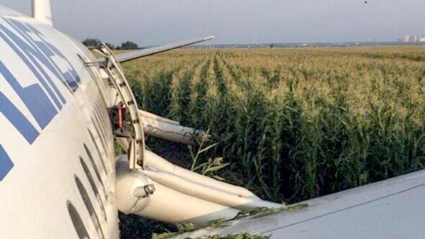 Літак А321 сів в кукурудзяному полі через аварію – відео, фото