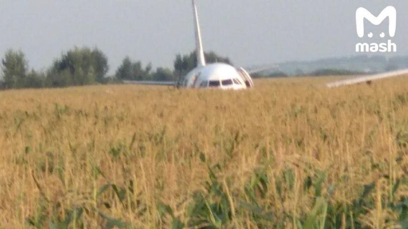 Авария самолета в кукурузном поле в под Москвой – список пострадавших