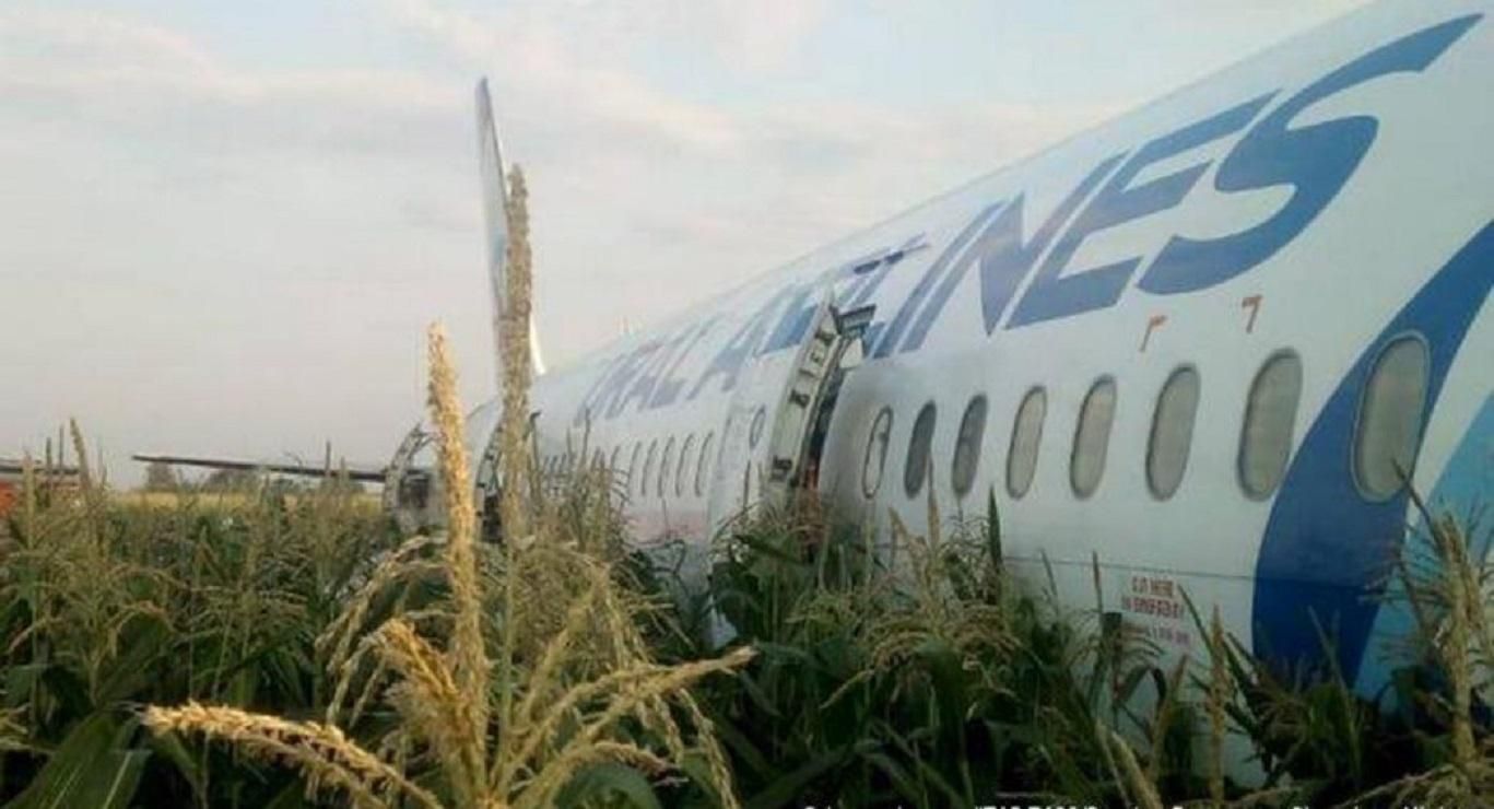 Аварія літака в Підмосков'ї: у двигуни судна влетіла зграя птахів – відео Аварія літака в Підмосков'ї: у двигуни судна влетіла зграя птахів – відео