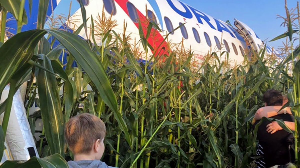 Авария самолета А 321 в России – как садился в кукурузном поле