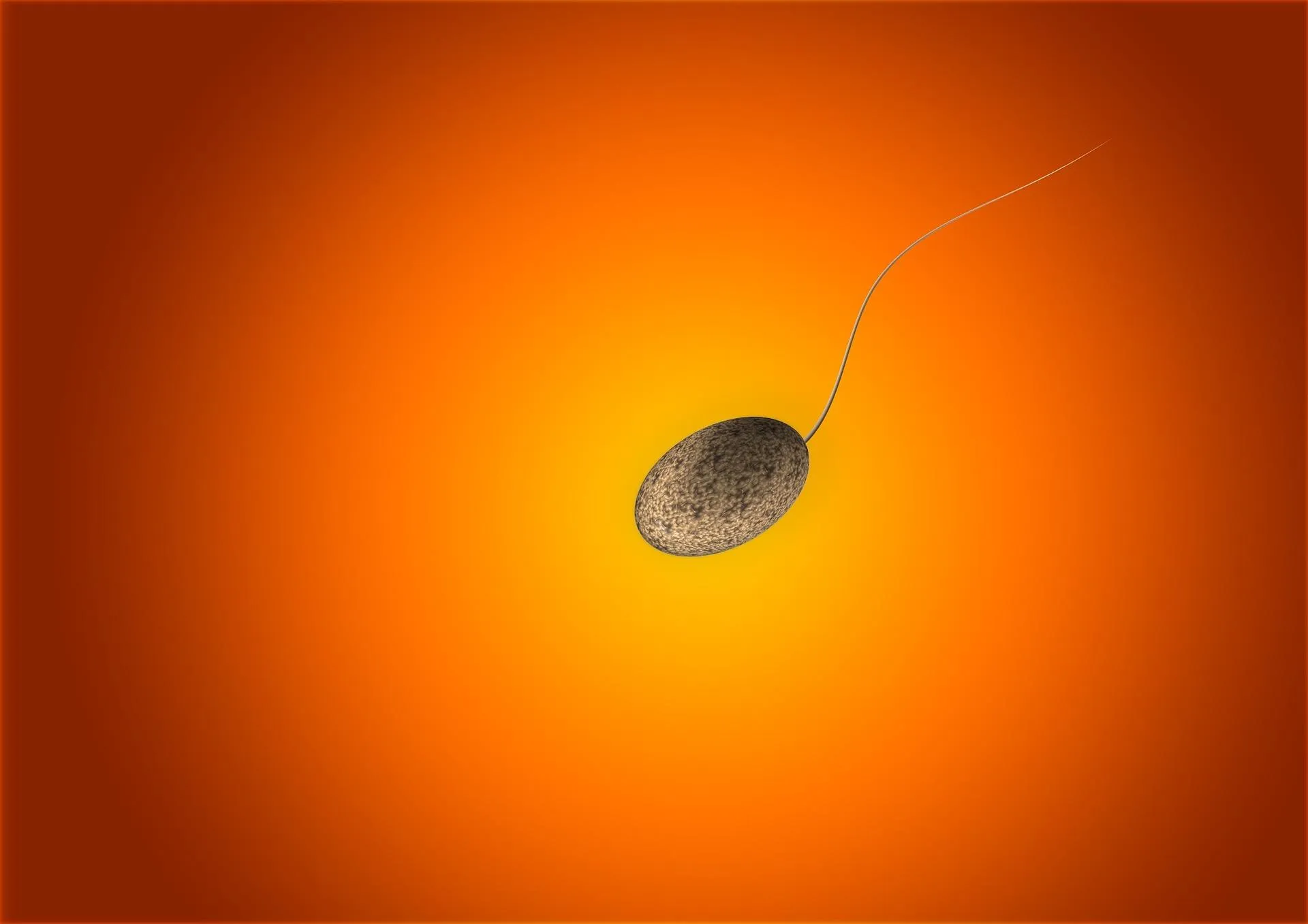 Вчені змогли контролювати сперматозоїди