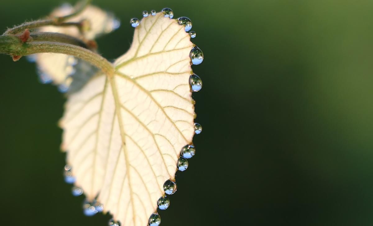 Прогноз погоди на 17 серпня 2019 в Україні – прогноз синоптика Прогноз погоди на 17 серпня 2019 в Україні – прогноз синоптика