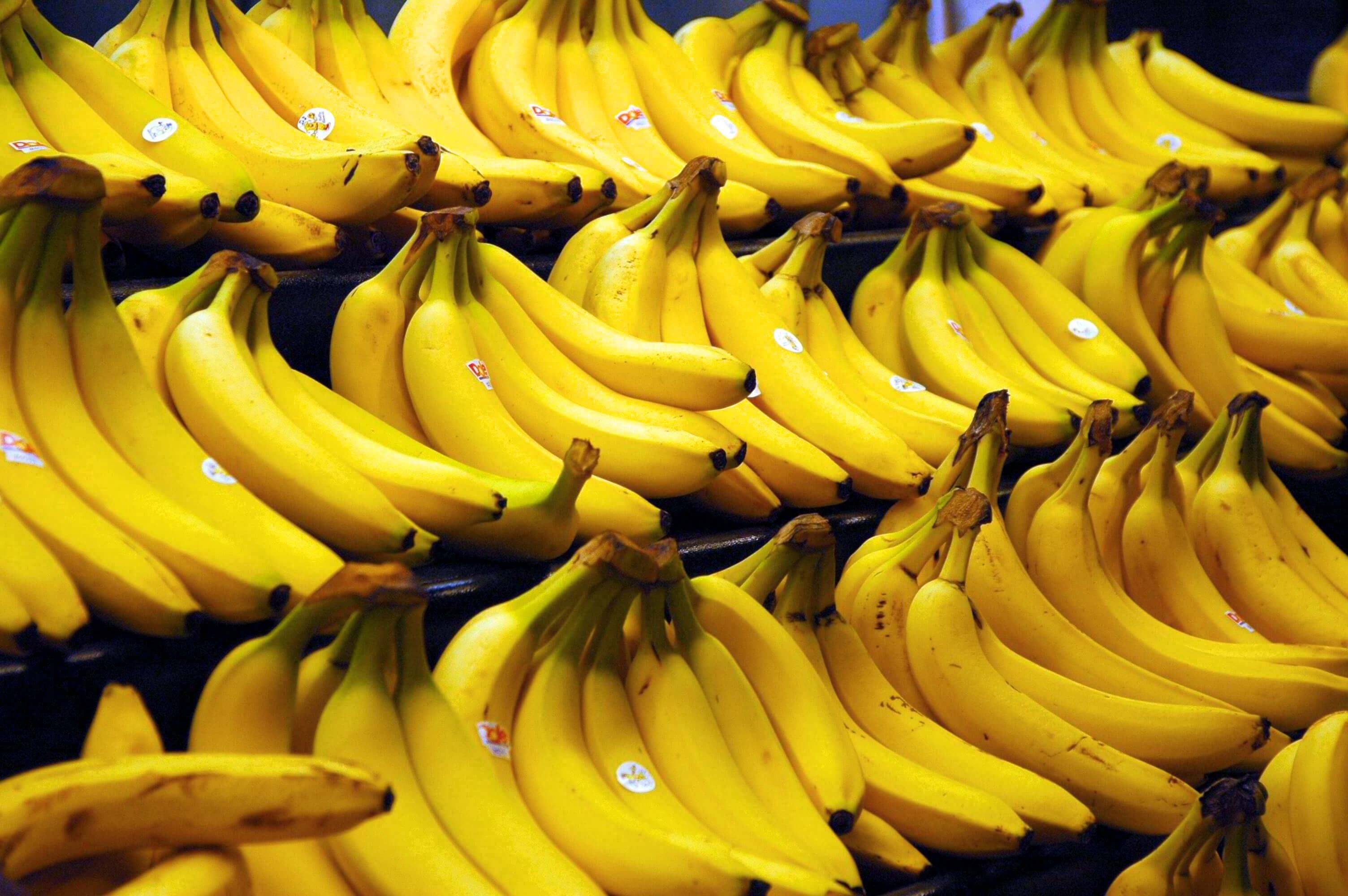 75 кілограмів кокаїну знайшли у бананах в Болгарії: фото