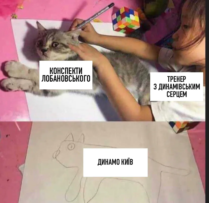 Котик Котик