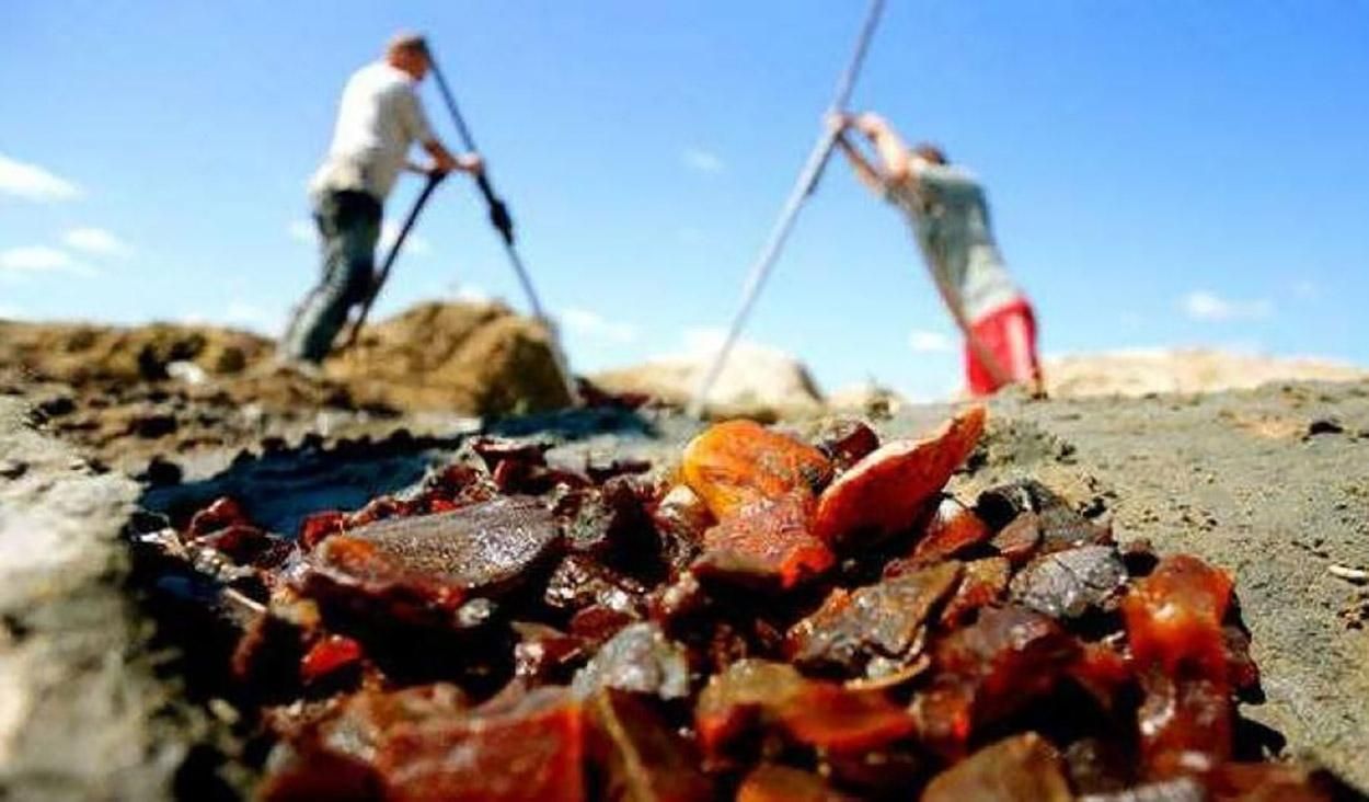 Як зупинити "бурштинову мафію": чітка відповідь Гнапа Як зупинити "бурштинову мафію": чітка відповідь Гнапа