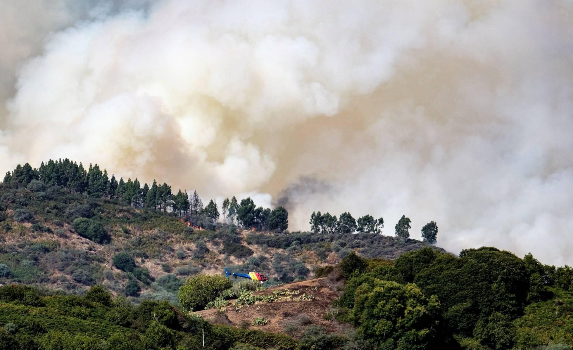 Ад на райских островах: на Канарах снова вспыхнули масштабные лесные пожары – фото и видео