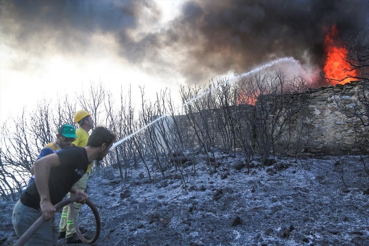 Турцию охватили масштабные лесные пожары: фото