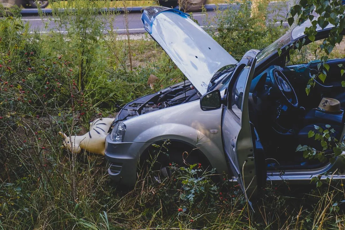 дтп київ уклон дтп київ уклон