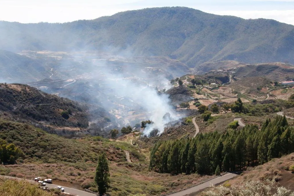 канари канари