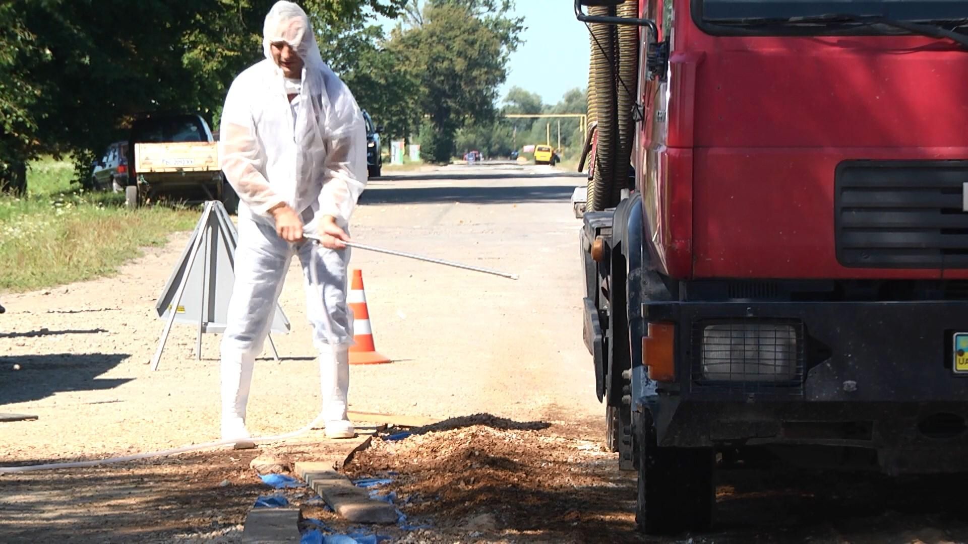 На Львівщині спалахнула африканська чума: що відомо На Львівщині спалахнула африканська чума: що відомо