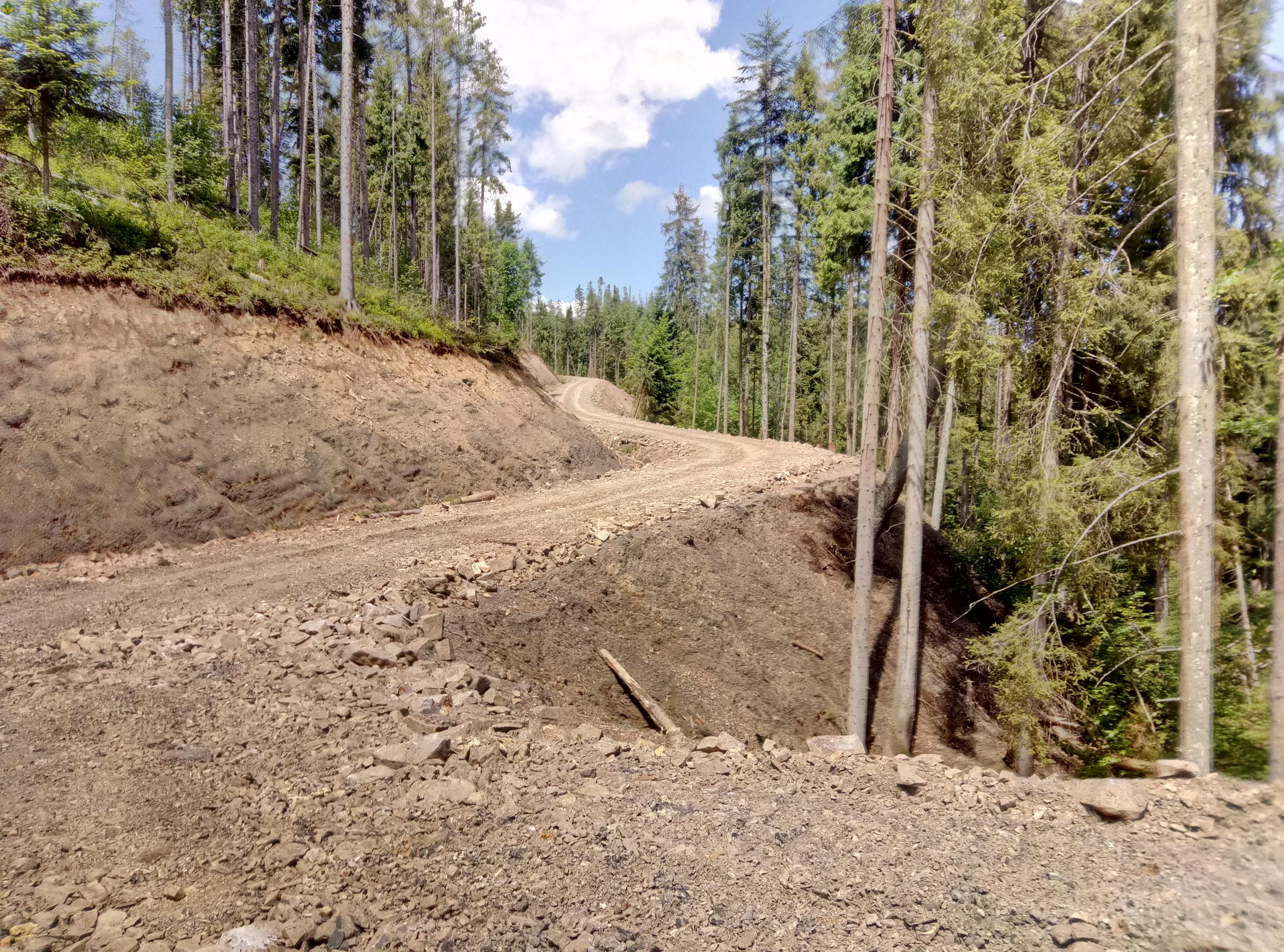 Син Луценка "Саша-Лісоруб" реально контролює всю лісову галузь, – блогер Іванов Син Луценка "Саша-Лісоруб" реально контролює всю лісову галузь, – блогер Іванов