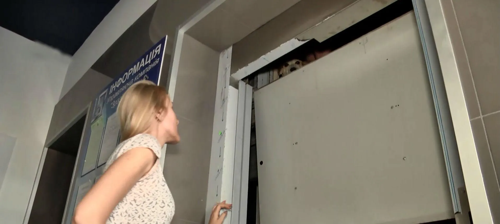 ліфт застрягли ліфт застрягли