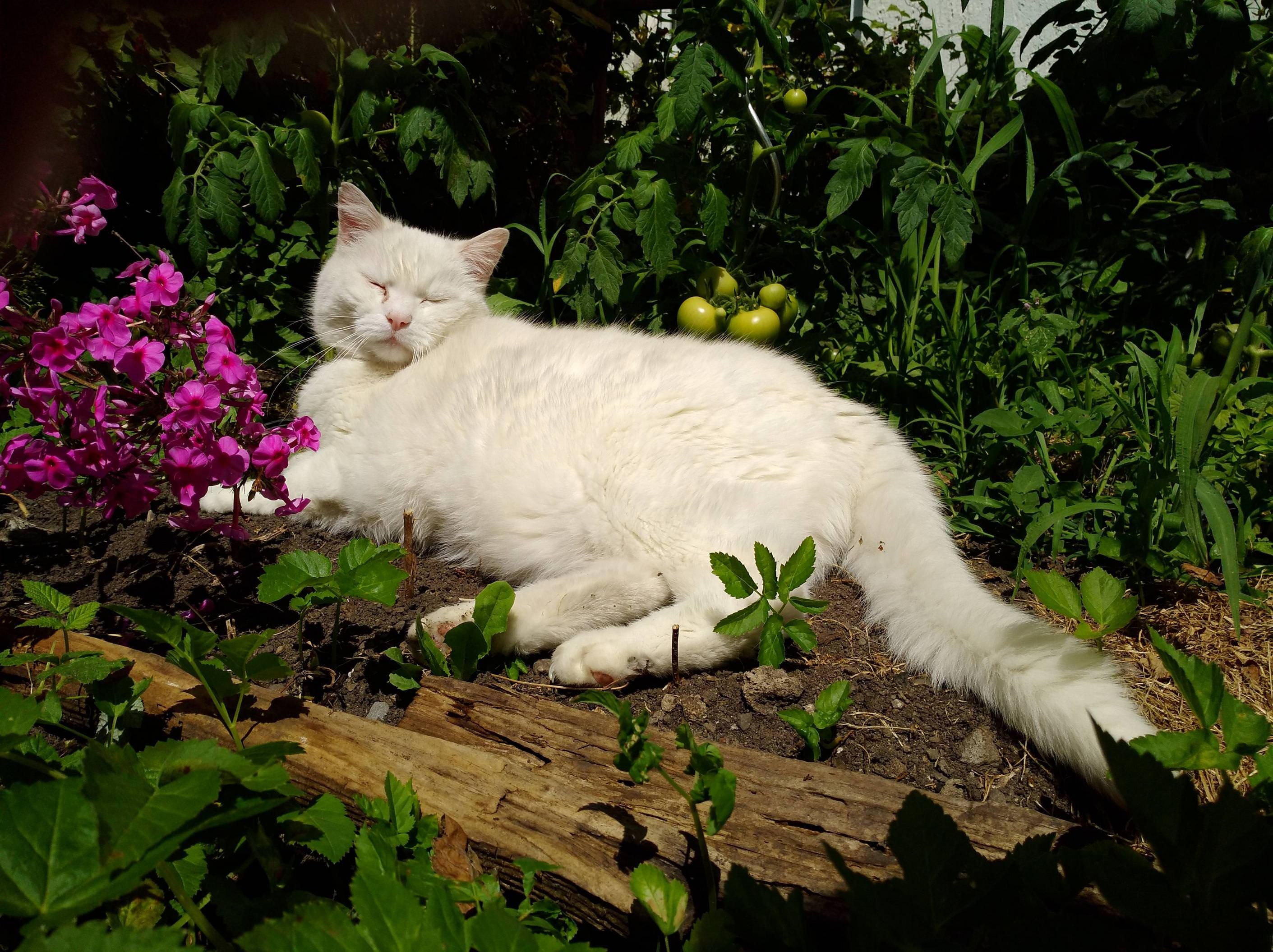 Погода 25 августа 2019 Украина: какую погоду обещает синоптик Погода 25 августа 2019 Украина: какую погоду обещает синоптик