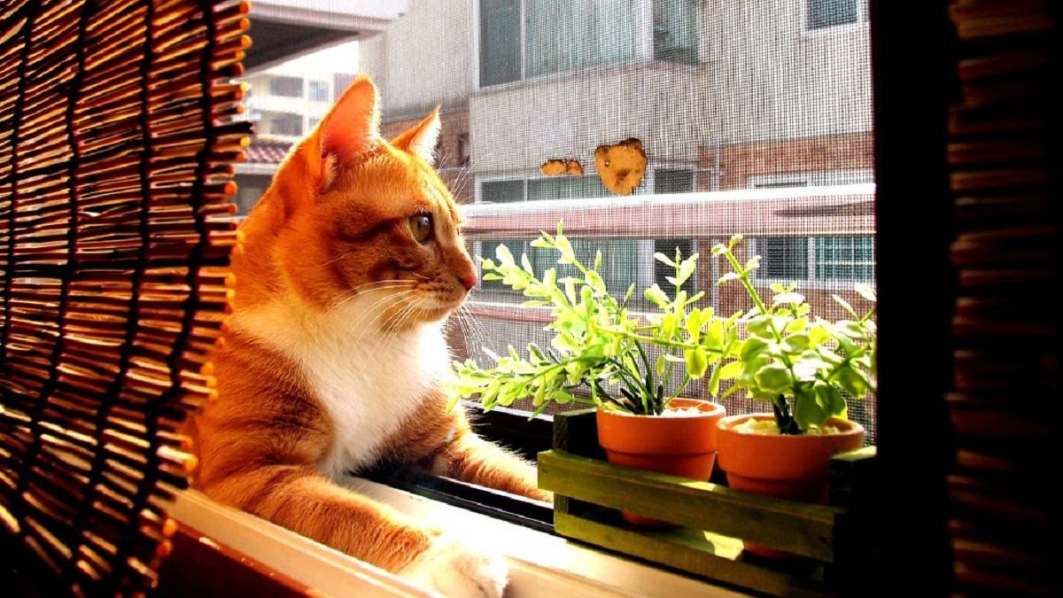 Погода 27 серпня 2019 Україна: яку погоду обіцяє синоптик Погода 27 серпня 2019 Україна: яку погоду обіцяє синоптик