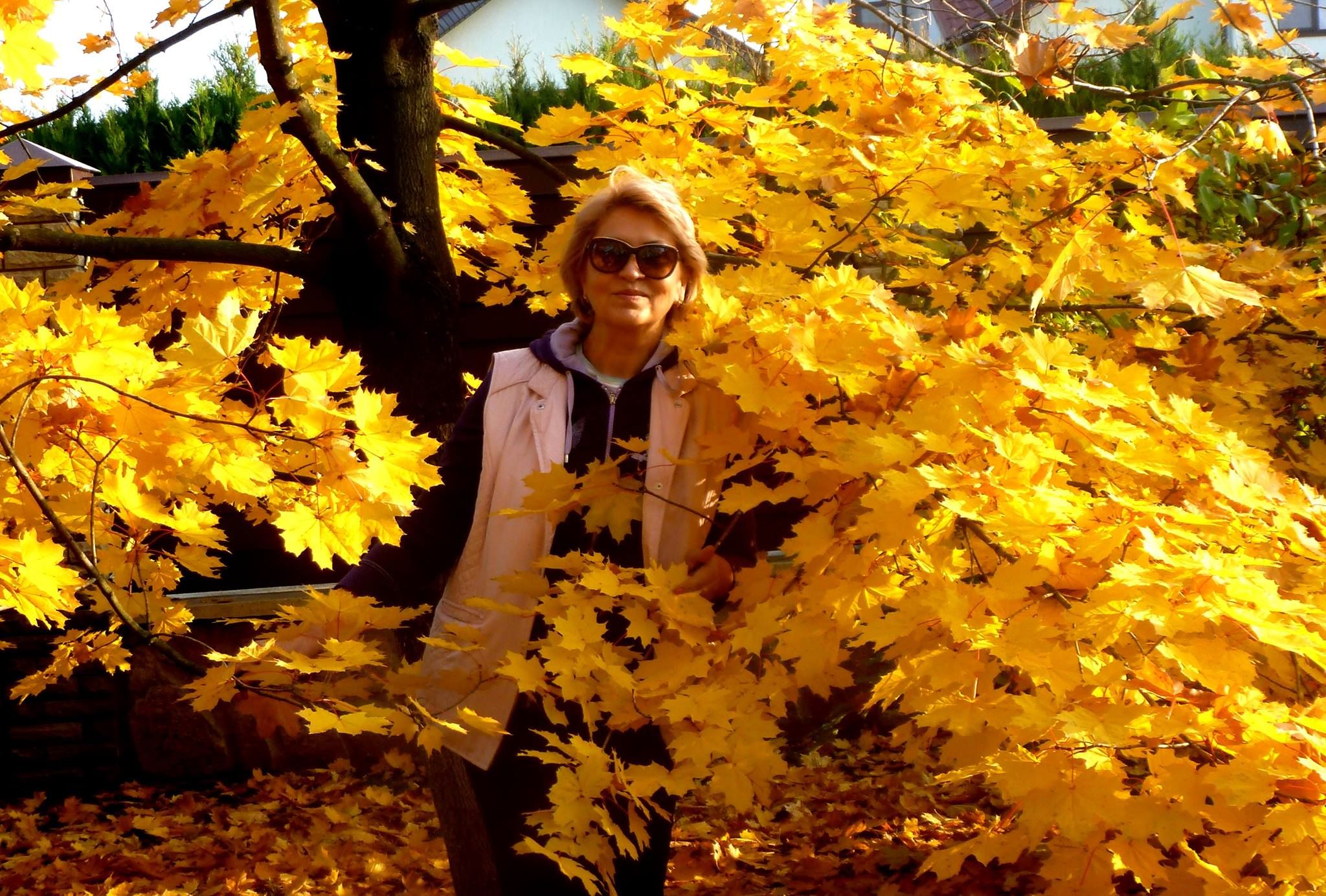 Теща Притули Лілія Сопельник – біографія винуватиці ДТП в Києві Теща Притули Лілія Сопельник – біографія винуватиці ДТП в Києві