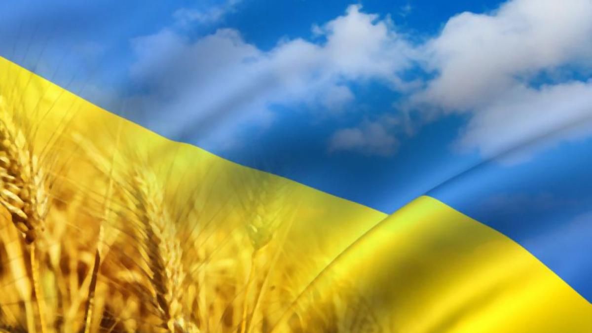 Ми вибороли це свято кров'ю, – політична еліта привітала Україну з Днем Незалежності