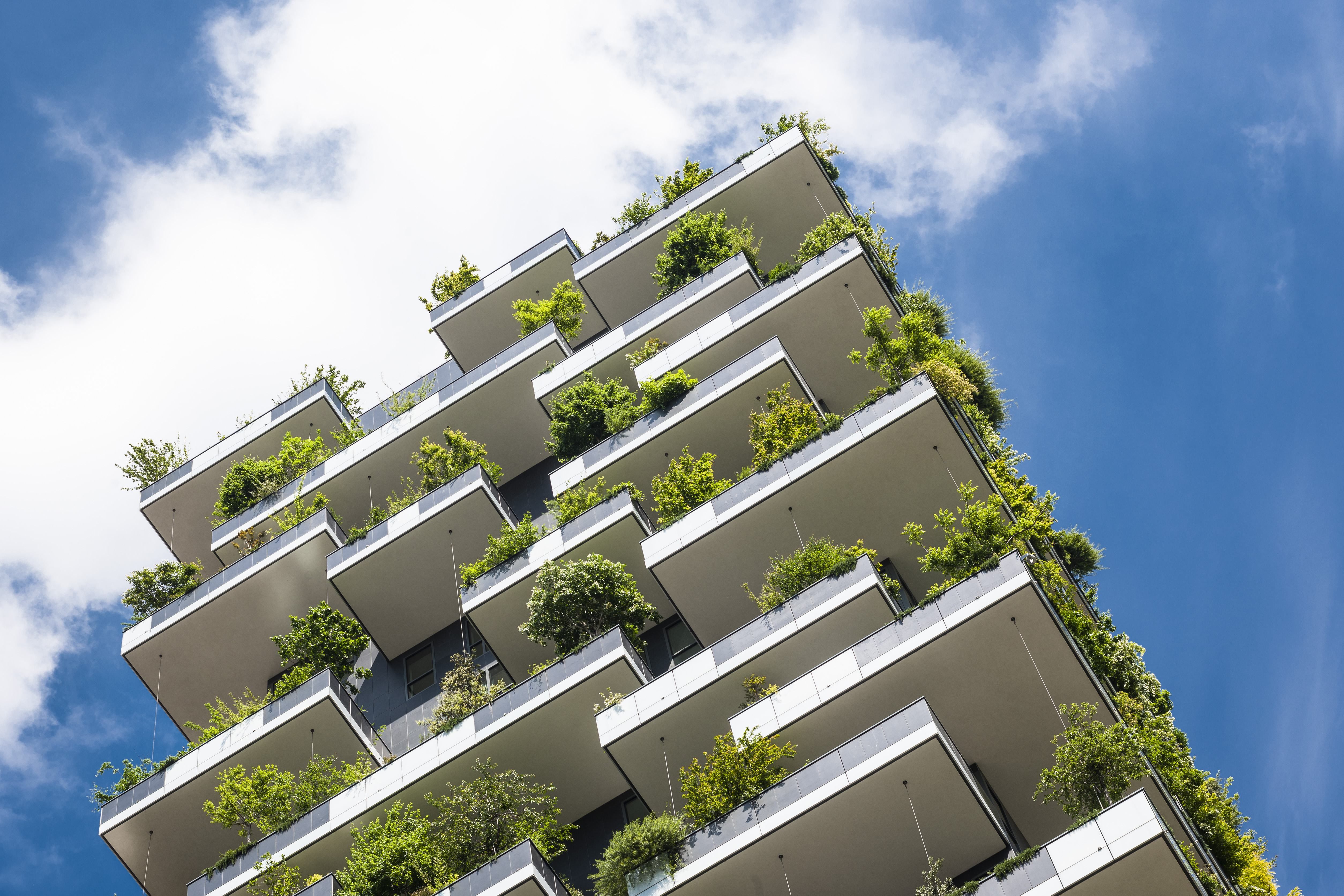 Пережить жару: как города мира приспосабливаются к изменениям климата Пережить жару: как города мира приспосабливаются к изменениям климата